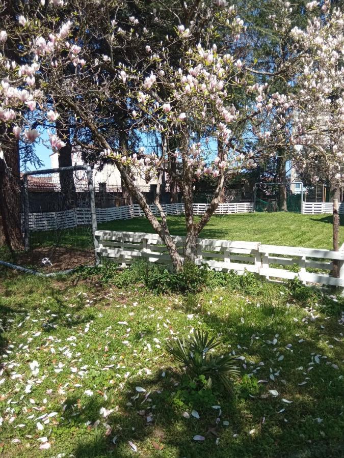 Chez Ben Avec Tout Le Confort Clim Wifi Netflix Gratuit Castres  Exterior foto