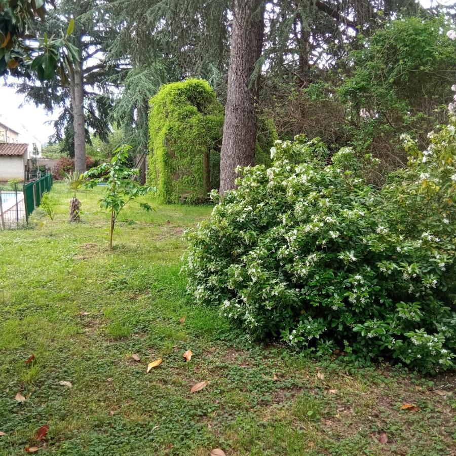 Chez Ben Avec Tout Le Confort Clim Wifi Netflix Gratuit Castres  Exterior foto